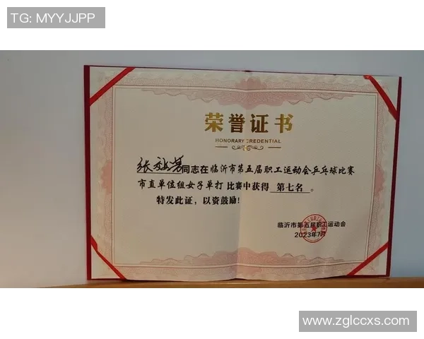 乒乓球的荣耀与坚持:上海乒乓球队奋斗历程的真实记录与反思 乒乓球的荣耀与坚持:上海乒乓球队奋斗历程的真实记录与反思