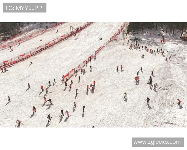 桌足球的魅力与技巧探秘让我们一起享受这项激情四溢的运动乐趣