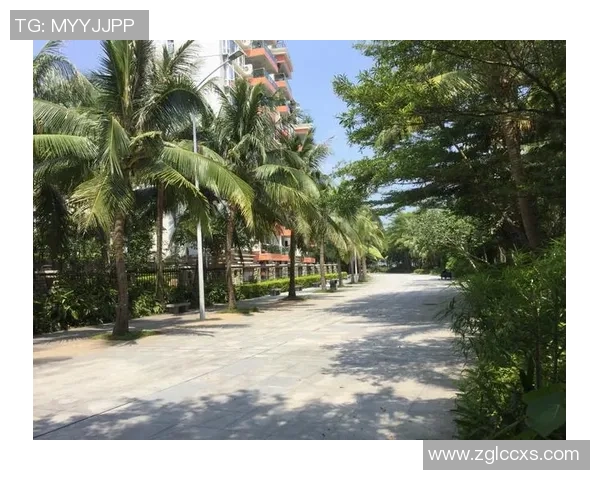 深圳飞盘队的成功运营策略与发展模式深度解析