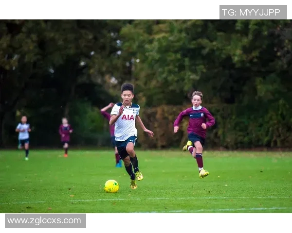 足球分网全面解析足球赛事动态与精彩瞬间助力球迷追踪热爱之旅